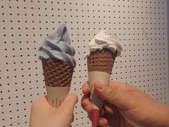 -喜茶(迪士尼小镇DP店)