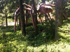 -金方森林温泉