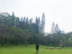 -四海公园(南山区)