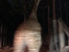 -清迈夜间动物园