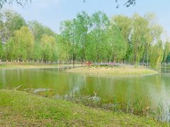 -东郊湿地公园
