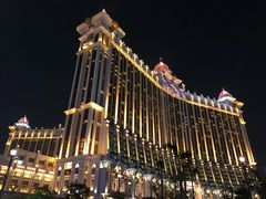-澳门威尼斯人综合度假区
