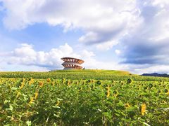 -光明小镇欢乐田园