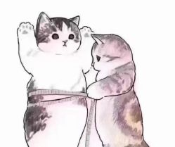 -香薇妮丝·定制减肥·身材管理