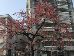 -黄埔古港