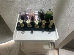 -薇薇安花系SPA