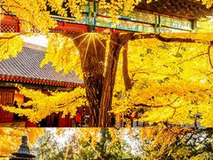 -沉浸北京·团建旅行·密室剧本杀·年会会议轰趴拓展