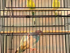 -瓦舍茶馆(聚源路店)