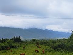 -玉湖村