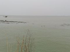 -阳澄湖半岛旅游度假区