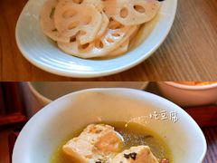 炝拌椒丝藕片-牛三哥洛阳牛肉汤(生态城店)