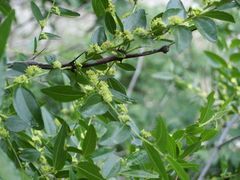 -碓臼峪自然风景区