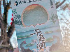 -千岛湖天屿景区