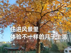 -馨果汇月子产康中心(南湖公园店)