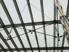 景点-国家大剧院
