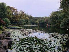 -灵谷景区