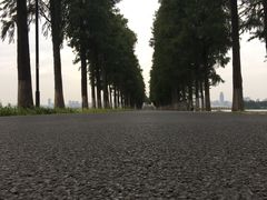 -东湖欢乐水世界