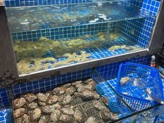 -潮三爷砂锅焗海鲜·生腌·海鲜粥(朝晖店)