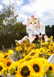 -太郎花子婚纱摄影艺术中心
