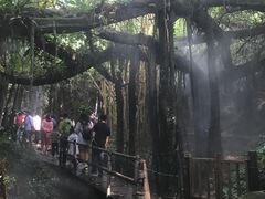 -青青世界