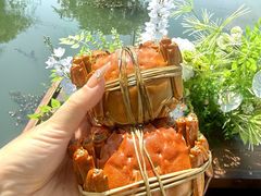 -徐岛主·特色农家乐(阳澄湖莲花岛店)