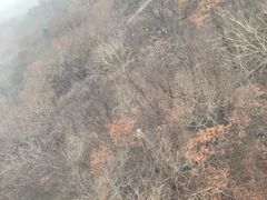 -紫金山索道-售票处