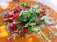 -四川豆花(置业路店)