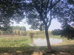-艾溪湖湿地公园