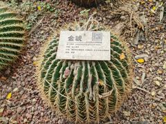 -呀路古热带植物园