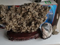 -尕胡才炕锅烤羊肉馆(八一路店)