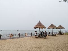 -北海金海湾红树林生态旅游区