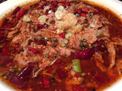 -白乐天毛肚火锅馆(南滨路店)
