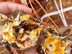 -品鲜村农家菜·阳澄湖大闸蟹(总店)