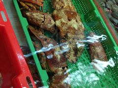 -鲤鱼门海鲜街