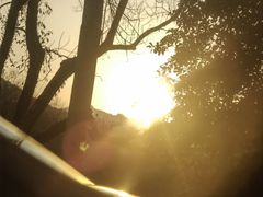 -句容茅山景区