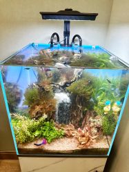 -Lumi露米·美甲美睫品质店