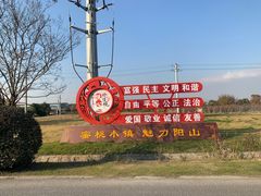 -田园东方蜜桃村的田野营地