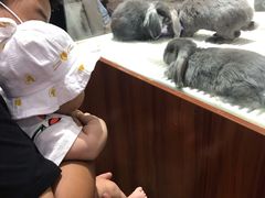 -万达广场(济南魏家庄店)
