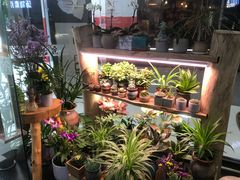-十二舍·湯物素煮(江泰潤政店)
