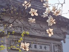 -耦园
