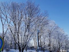 -中旅松花湖滑雪场