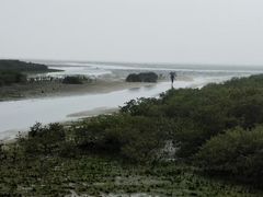 -北海金海湾红树林生态旅游区