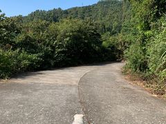 -火炉山森林公园