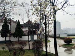 -西安青龙寺遗址景区