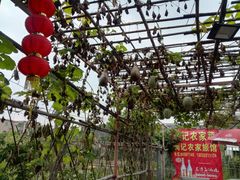 -润记农家菜