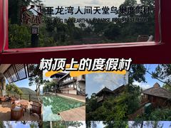 -三亚亚龙湾人间天堂鸟巢度假村