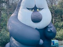 -红山森林动物园