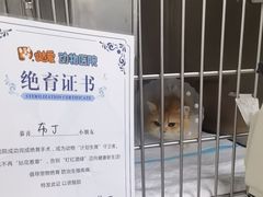 -达爱动物医院·犬猫分区·CT·复杂眼科(远洋山水分院)