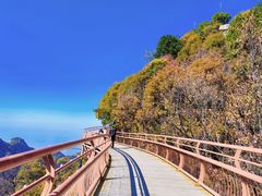 -少华山国家森林公园