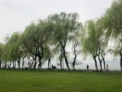 -柳浪闻莺公园